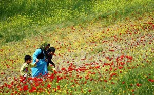 Kurdistan-in-Spring-06
